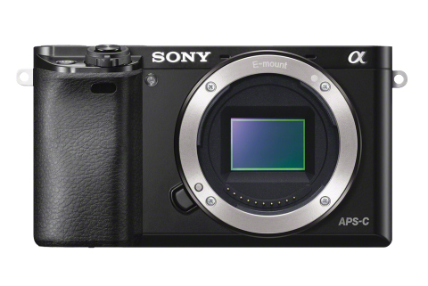 SONY Alpha DSLR Camera a6000 with 16-50mm Lens - Newegg.com