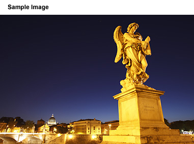 sample image