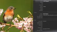 PaintShop Pro X7