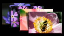 PaintShop Pro X7