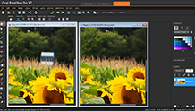 PaintShop Pro X7
