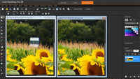 PaintShop Pro X8 Ultimate