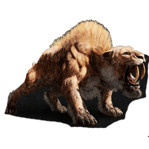 Stone Age