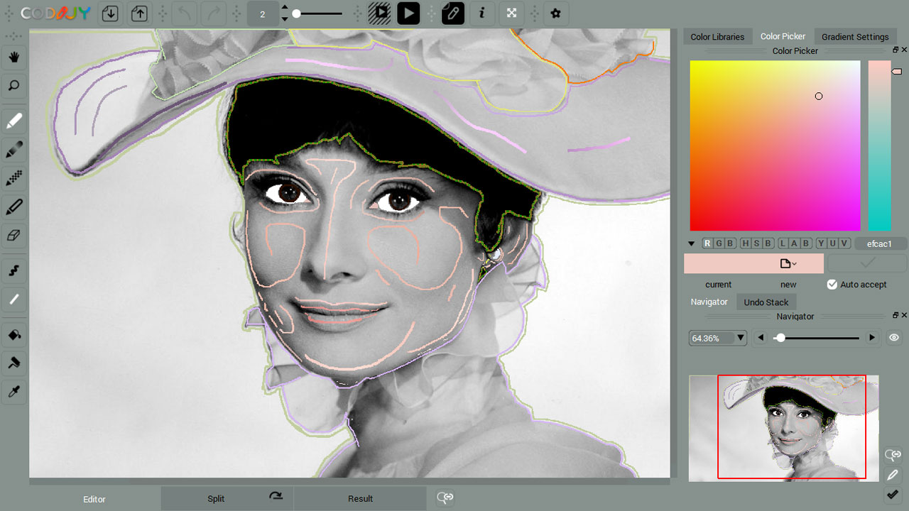   Screenshot of the software adding color to a monochrome picture 