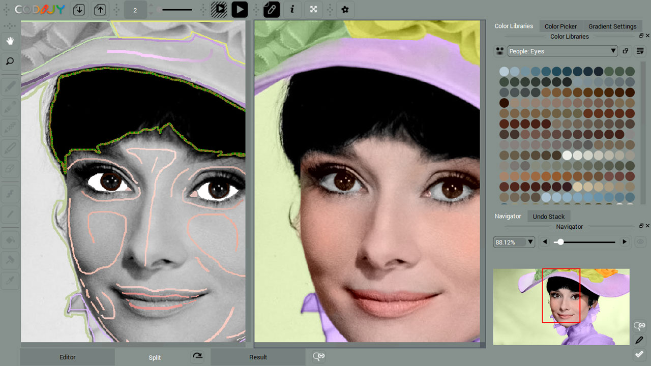   Screenshot of the software adding color to a monochrome picture 