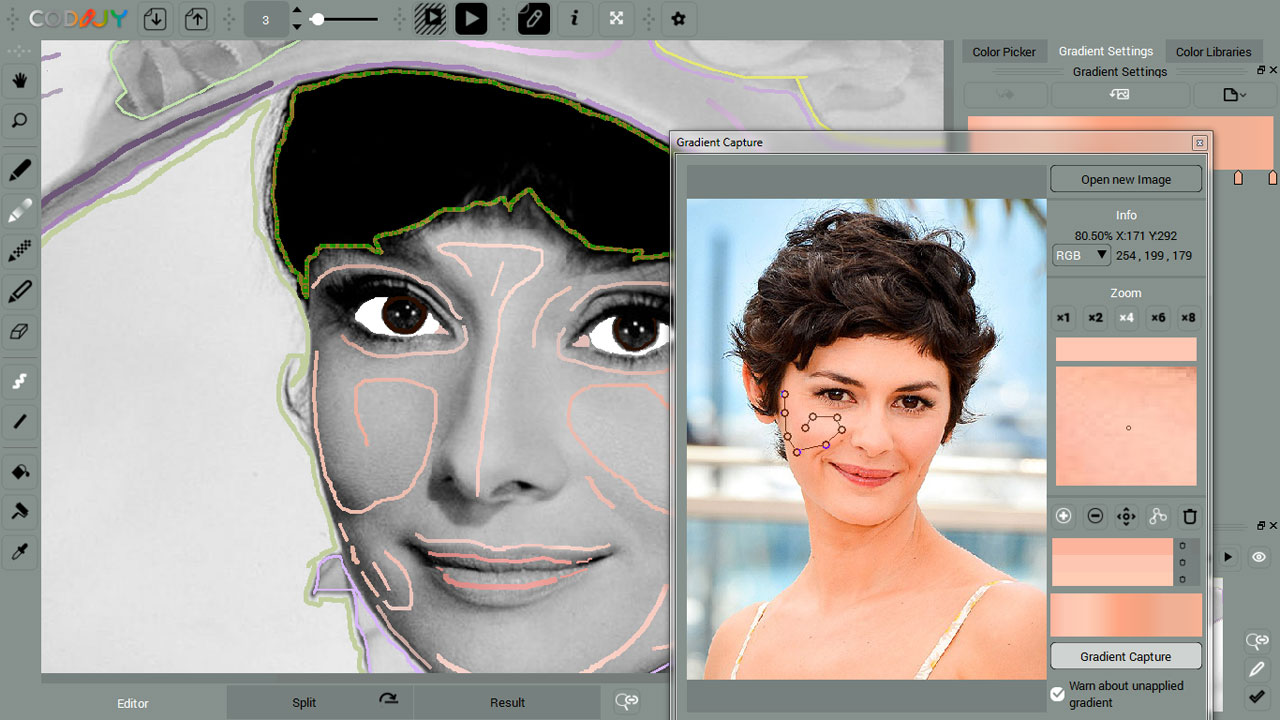  Screenshot of the software adding color to a monochrome picture  