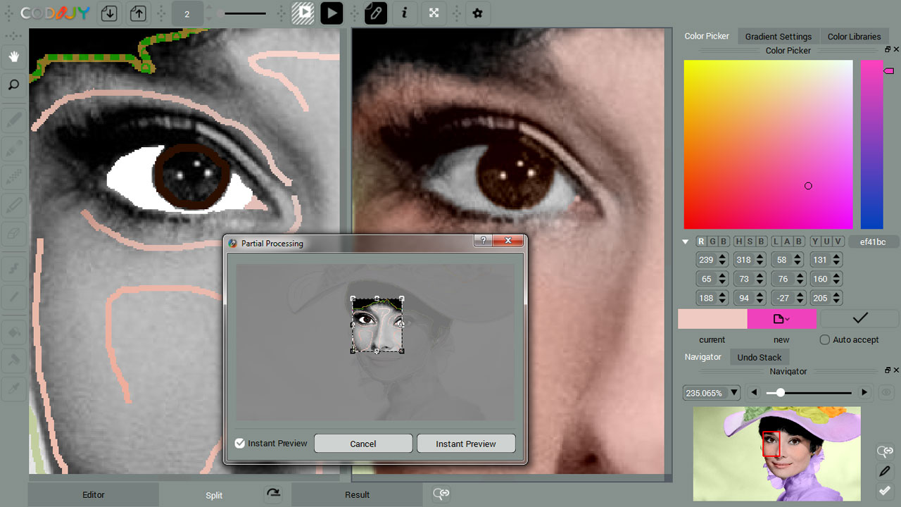 Screenshot of the software adding color to a monochrome picture   