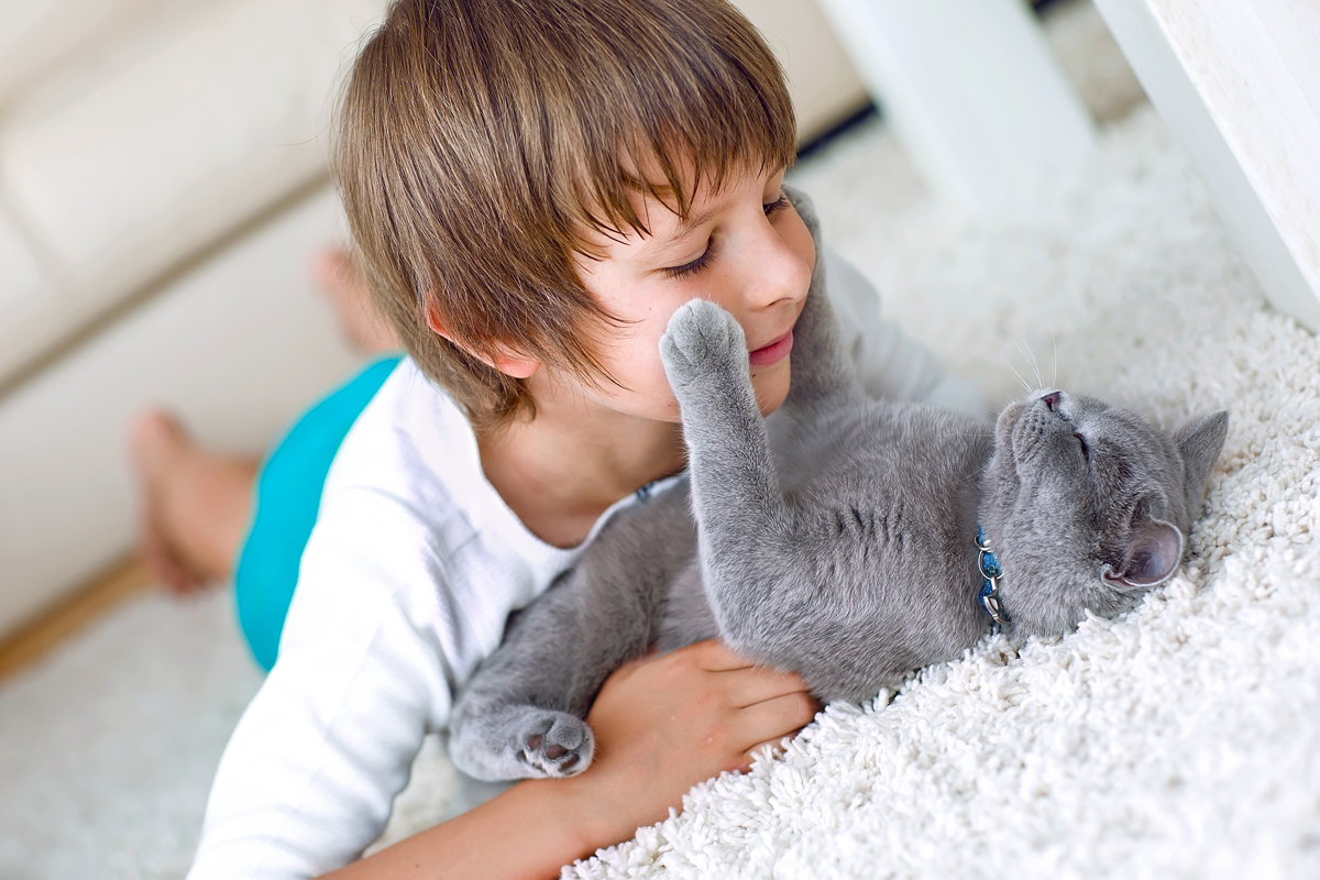 primary art for Adobe Photoshop Elements 2020 which shows a boy playing with a gray cat
