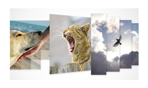 MAGIX PHOTOSTORY EASY (VERSION 2)