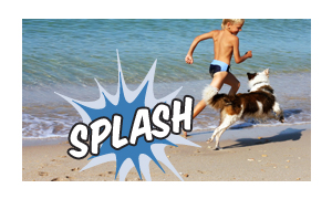 MAGIX PHOTOSTORY EASY (VERSION 2)