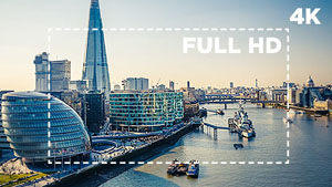 4K/Section animation 