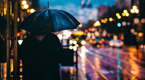 The art of coloration 