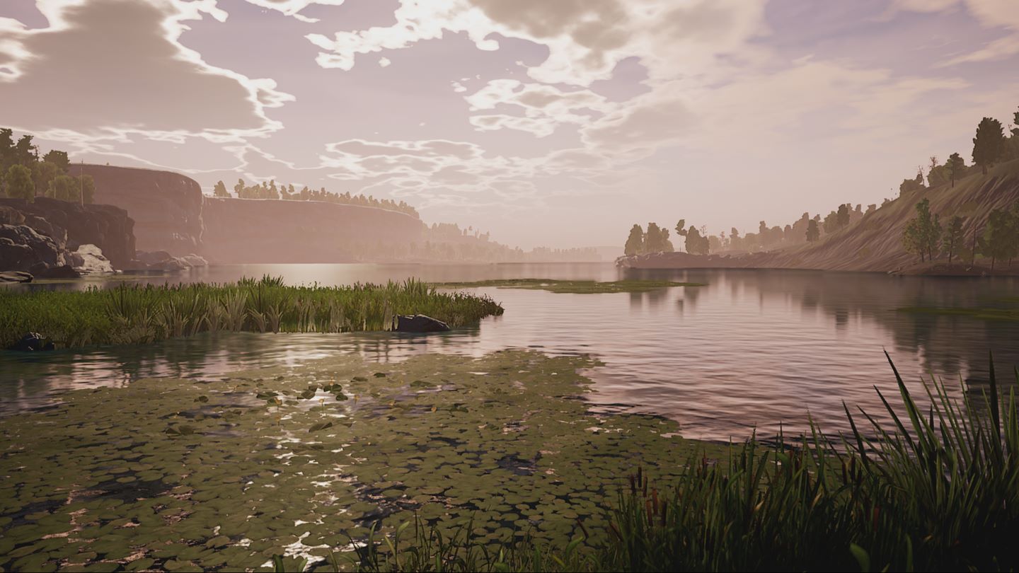 image for this item