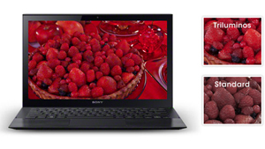 image for this item