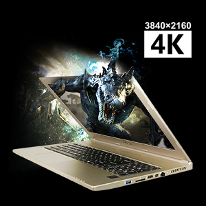 image for this item