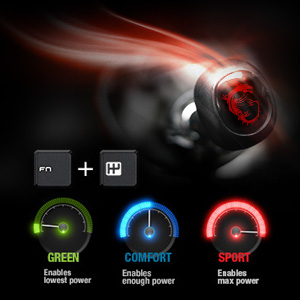 image for this item