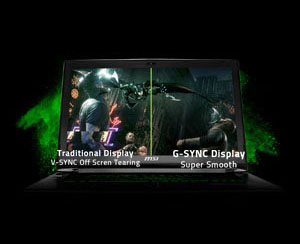 MSI GT Series