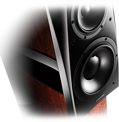 IMMERSIVE GAMING WITH TOP-NOTCH AUDITORY SENSATION