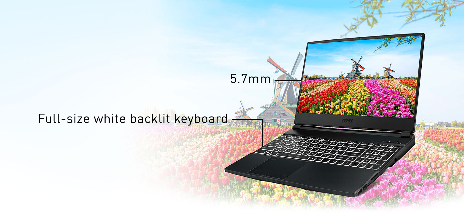 MSI WE Series WE65 9TI-007 15.6