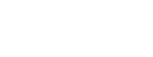 icon_duowavespeaker