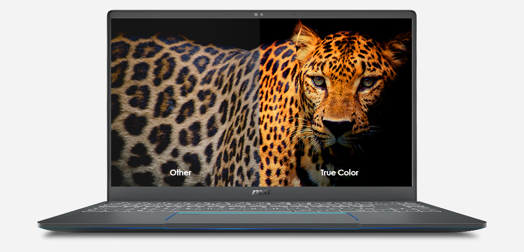 An image separated to two parts on Prestige 15's Screen: Left part uses Other Display Technology While Right uses MSI Exclusive True Color Technology