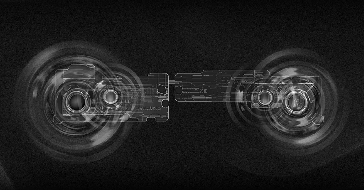 Two giant speaker units