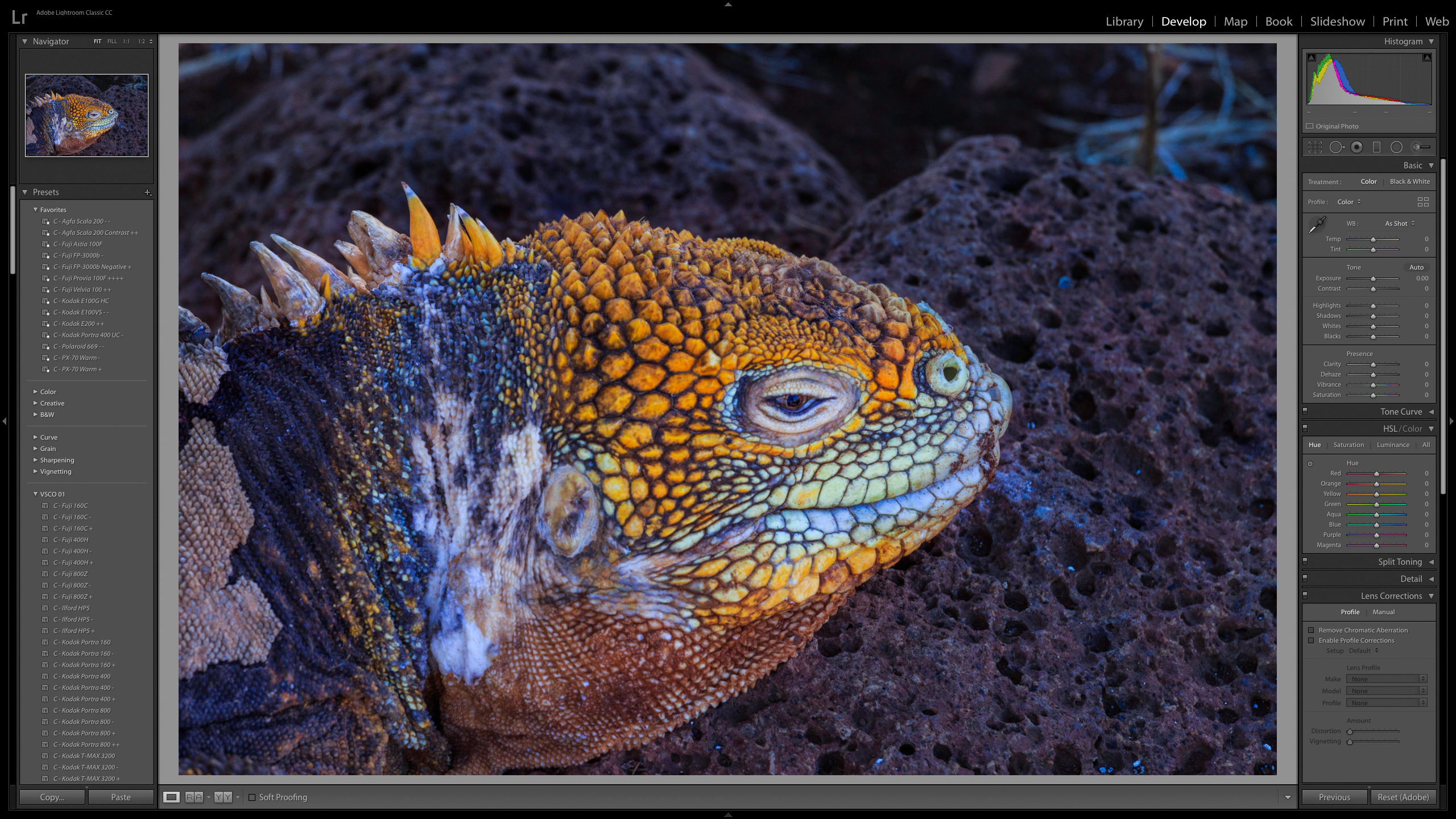 Work Environment: Photography 