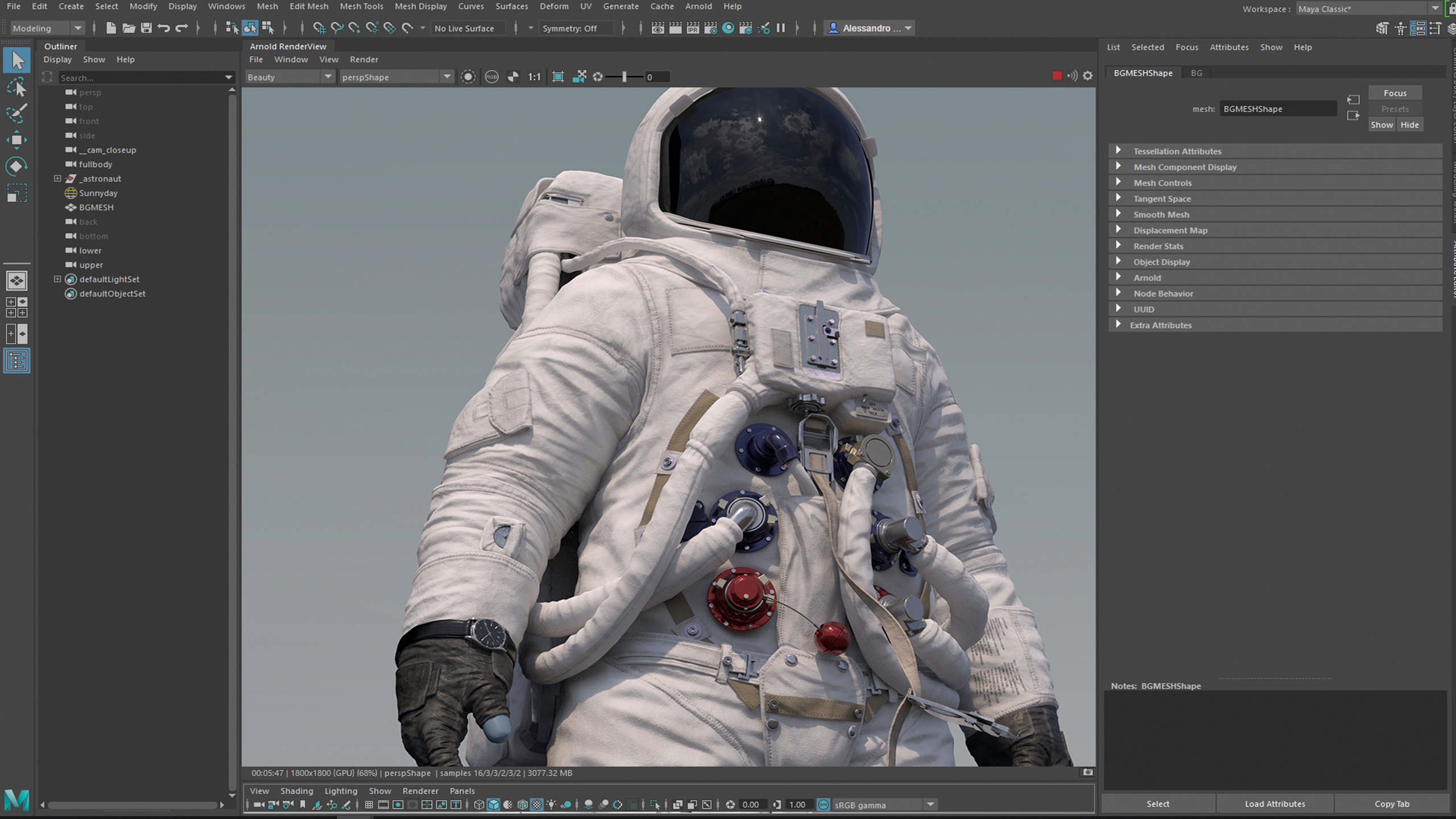 Work Environment: 3D Animation 