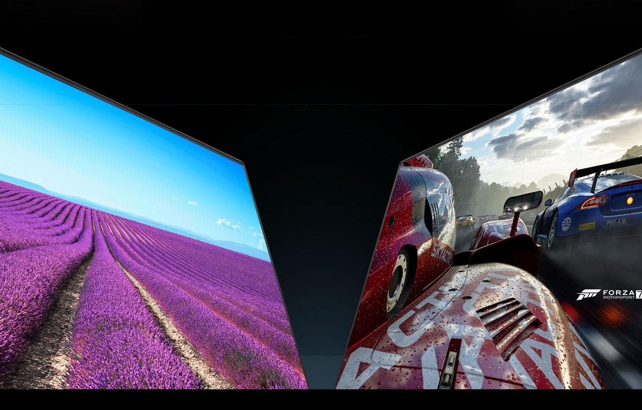 one laptop with a flower field as screen and a racing car image as screen of the other laptop