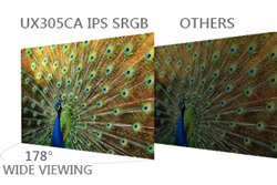 ASUS ZenBook UX305CA