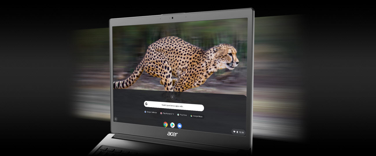 Acer Chromebook 715 showing a picture of jaguar