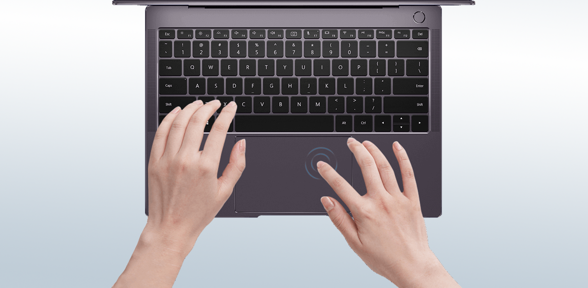 Free Your Productivity
