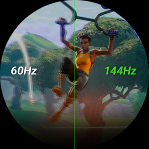 image for this item