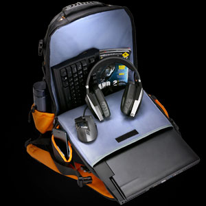 image for this item