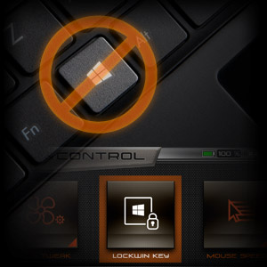 image for this item