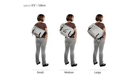 image for this item
