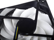 newegg