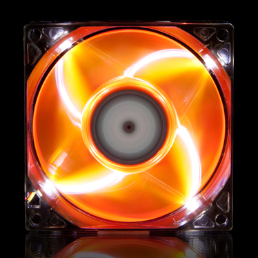 image for this item
