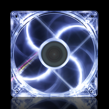 image for this item