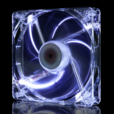 image for this item
