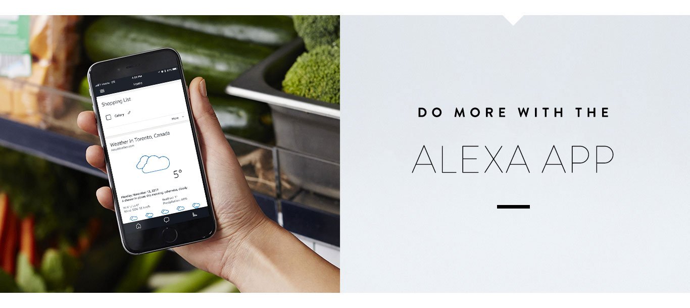 Echo Dot (2nd Generation)