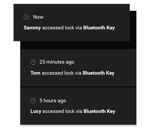 Smart Deadbolt Lock 02