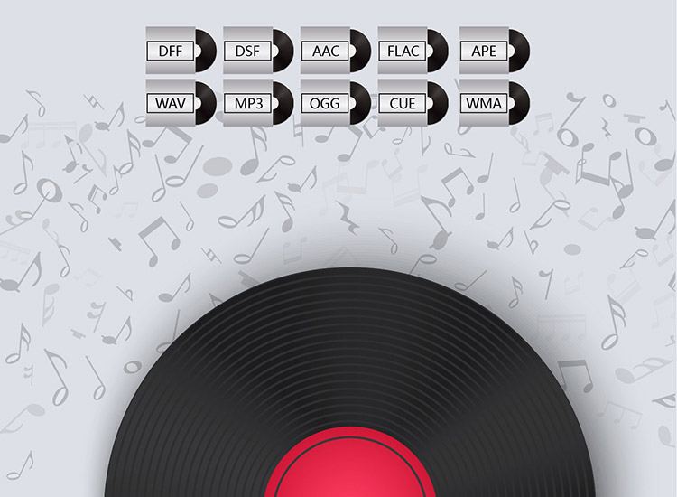Sleeves with records coming out and text on the sleeves that read: DFF, DSF, AAC, FLAC, APE, WAV, MP3, OGG, CUE and WMA. Below these icons is a large record on a light gray background of various music notes
