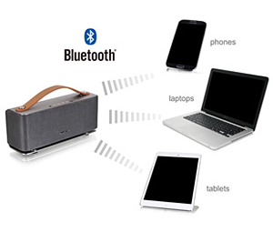 Groovy Bluetooth Speaker