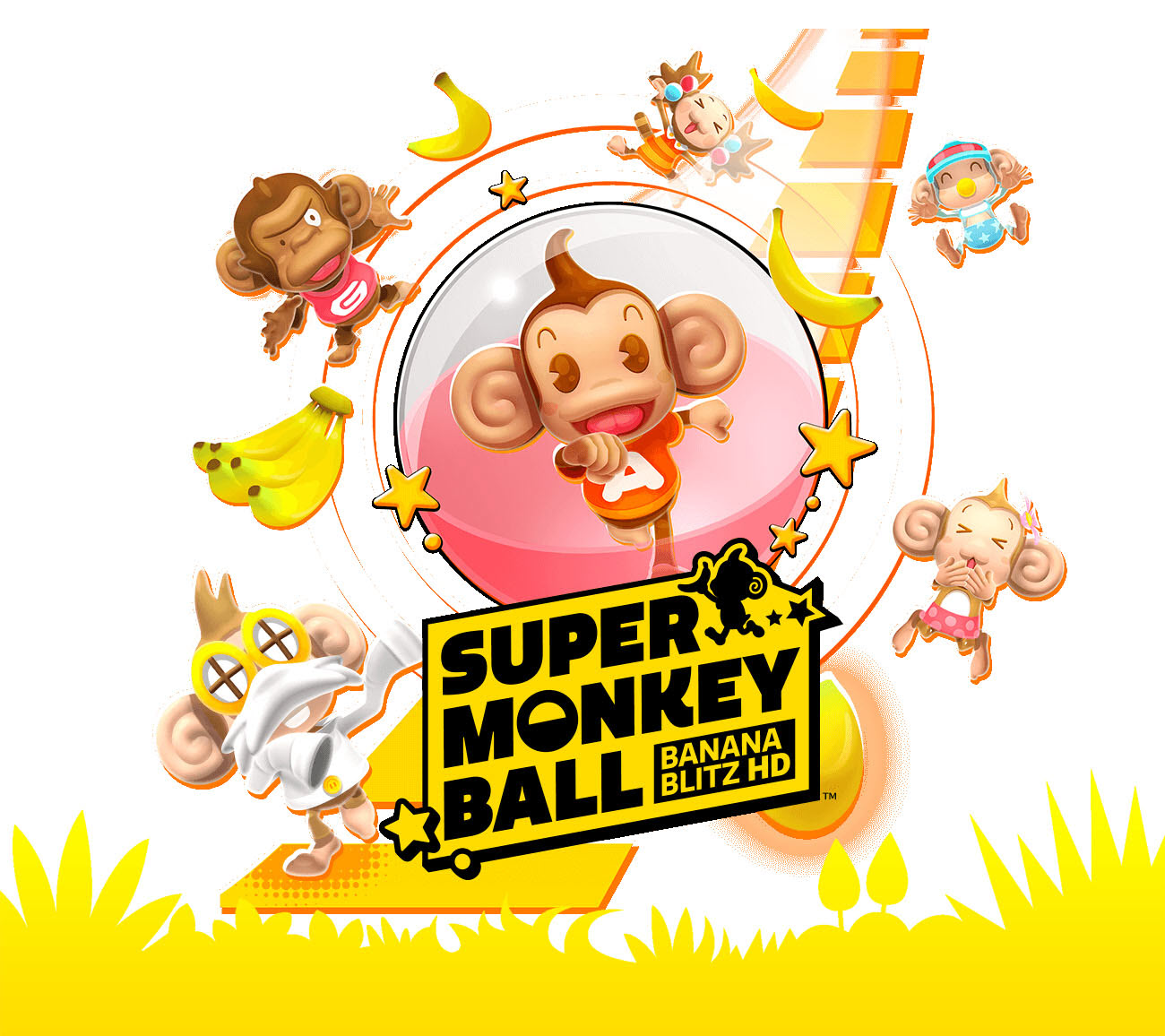 image for this item