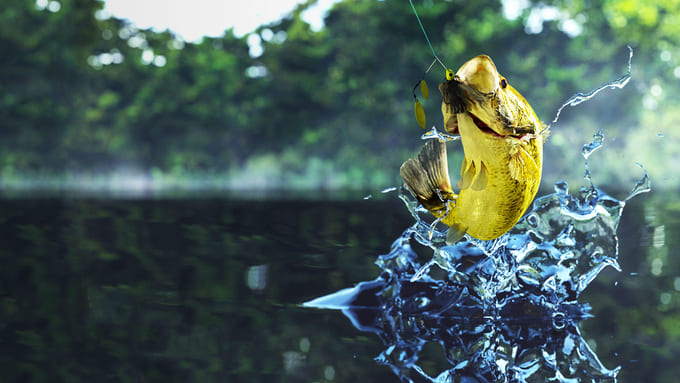 a yellow fish jumping to the surface of water
