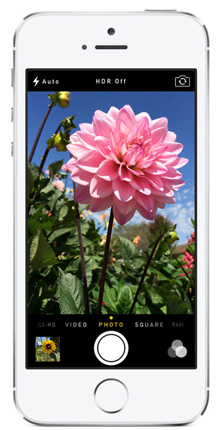 image for this item