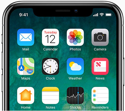 iPhone X