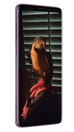 Samsung