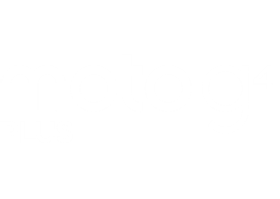 moto g plus
